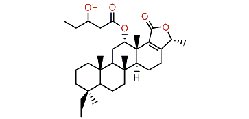 Phyllofolactone K